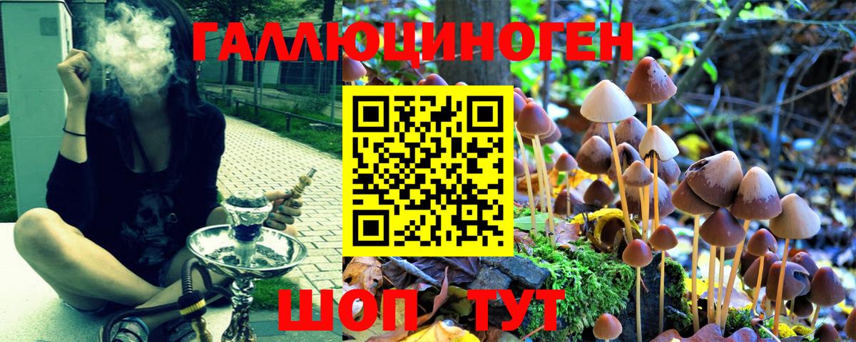 Великие Луки  Галлюциногенные грибы мицелий  наркотики  Вход с VPN 